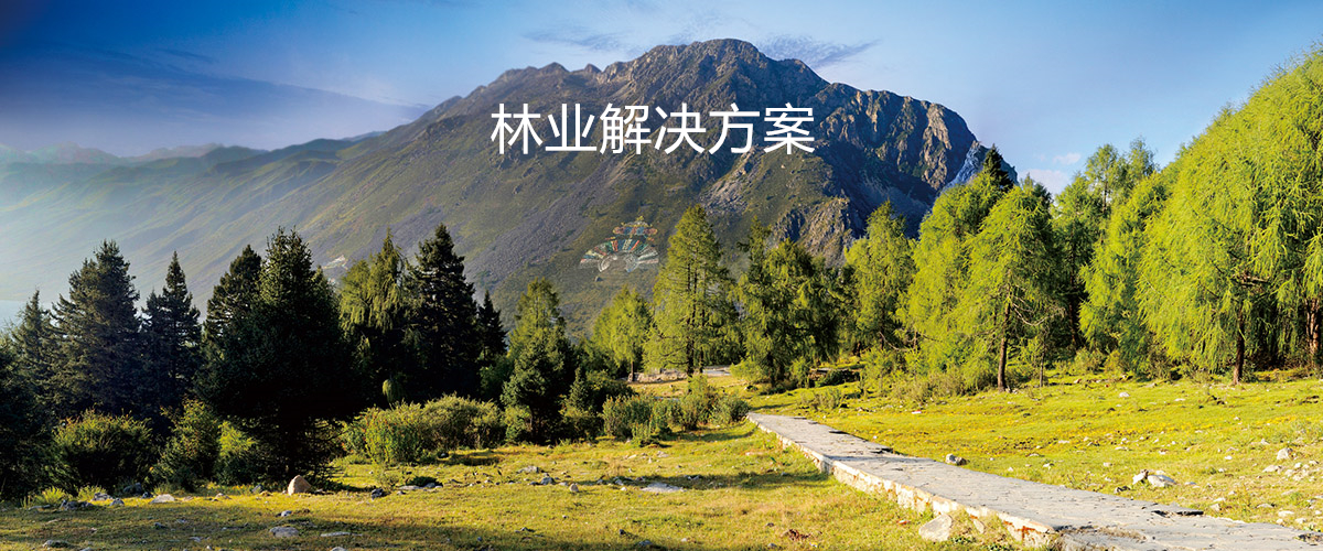 林業4.jpg